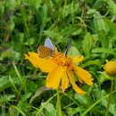 공생 행정사사무소 이미지