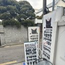 하루에 카페 | 홍대 연남 집사의하루 유기묘 카페 내돈내산 후기