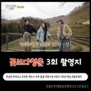 다원리미티드