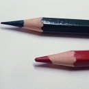 색연필 보태니컬 아트 이미지