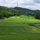 라운드 | 힐드로사이CC 라운드 후기2_골프장 잔디는 이래야지