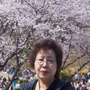 바다정원 이미지