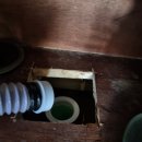 가호동24 이미지