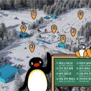 휘닉스파크 이미지