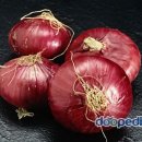 양파(onion)