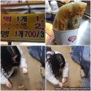 노량진수산시장 맛집 추천, 제철방어 가격과 상차림 식당 후기