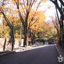 가톨릭대학교 성신교정도서관 Daum카페