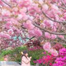 만수노인복지원 이미지