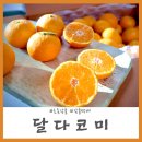 올라잇미