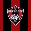 투혼길라잡이 이미지