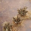 한진농장 이미지