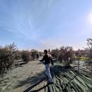 보나농장 이미지