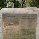 천안대로 이미지