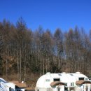 숲속의 이글루 이미지