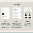 럭키래빗