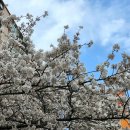 삼공삼공영어학원 - 군포시 삼성로20번길 3-23 | 삼공삼공영어학원