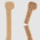 죽전정형외과의원 이미지