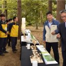 포레스타 이미지