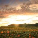 연천호로고루 이미지