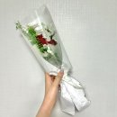 양천로 27길 | 2월의 일상 - 약간의 조롱을 곁드린