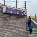 운신초등학교 | 서산 벚꽃명소 서산한우목장 둘레길 벚꽃 보고온 후기 4월 둘째주 상황