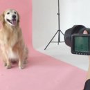 오팔농장 이미지