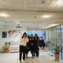 6951 | 혜화역 카페 대학로 분위기 좋은 데이트 장소 그린풀(GREEN POOL) 내돈내산 후기.