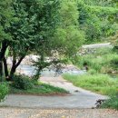 예랑정원 | 지리산자락 계곡을 품고있는 산청 예랑정원오토캠핑장 여름캠핑일기