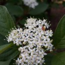 해당화어린이공원 이미지