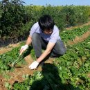 노력농장 이미지