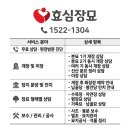 효심장묘 - 금산군 은행나무길 45 | 효심장묘