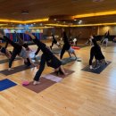 지도센터-1 | [부천요가/신중동/요가지도센터] 리사요가 1개월 지난 후기