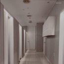 데일리즈의원 이미지