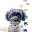 디지털 드로잉 기초 (오후) 이미지