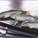 남국목장 이미지