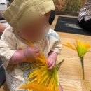 킹콩1985 | 더현대서울 CH1985 오감자극 자연 통합놀이 달링조이 리틀킹콩 문화센터 후기