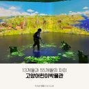 우주주 | 6살도 재밌어요! 내돈내산 고양어린이박물관 재방문 후기