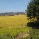 내수금방