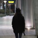 할렘 이미지