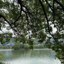 클래식<지브리 콘서트> 이미지