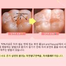 송도위드치과