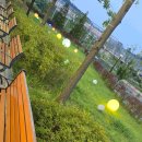 은계호수약국 이미지