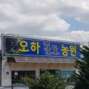 오하포도농원