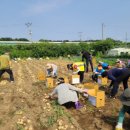 사랑의농장 이미지