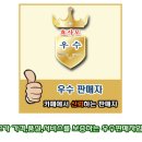 단삼.삼잎국화-모종판매(수량많지않음)-우수판매자제4호! 이미지