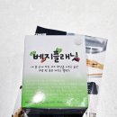 제일메드 | 프로메드 베지플래닛 내돈내산 후기, 화장실 고민 해결한 이유