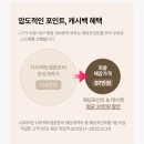 애플결혼정보 | 《웨딩》 0.결혼 준비 시작! 내가 도움받은 웨딩 업체/어플 (다이렉트 결혼준비,스마트웨딩,결혼예산의...