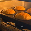 데일리미트 이미지