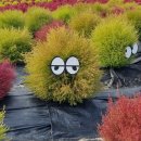 종교단체 자연장지 이미지