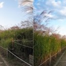 노을공원3 이미지